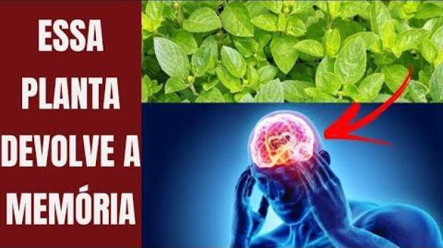 Video Esta Planta Recupera Sua MEMORIA, Protege Seu Cérebro, Cuida do Seu Coração e Visão! po polsku
