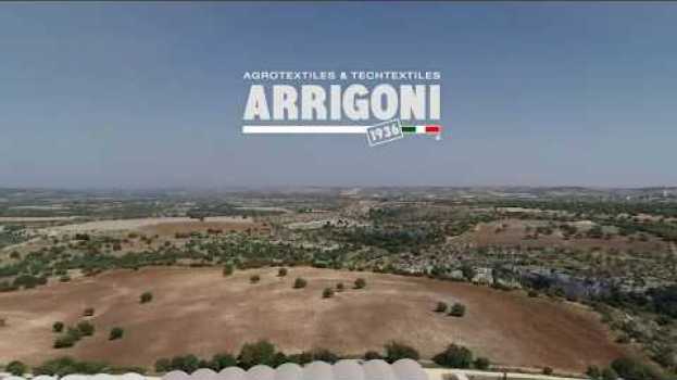 Video Arrigoni | Gli straordinari risultati di PRISMA® LDF su pomodoro auf Deutsch