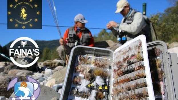 Video Pesca a mosca di trote temoli e alla ricerca di funghi Porcini Moll Gail Pipam Austria em português