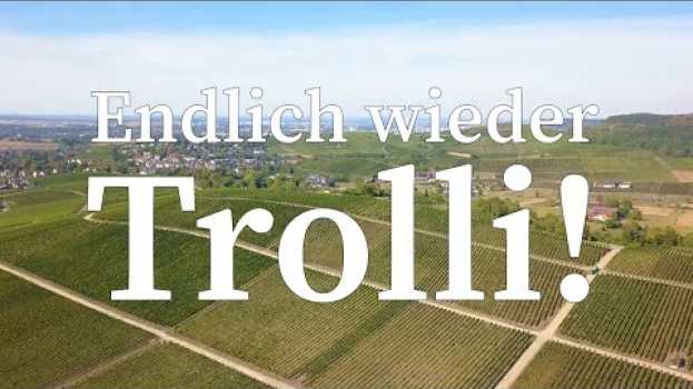 Video 20. Trollinger Marathon Heilbronn - Endlich wieder Trolli po polsku