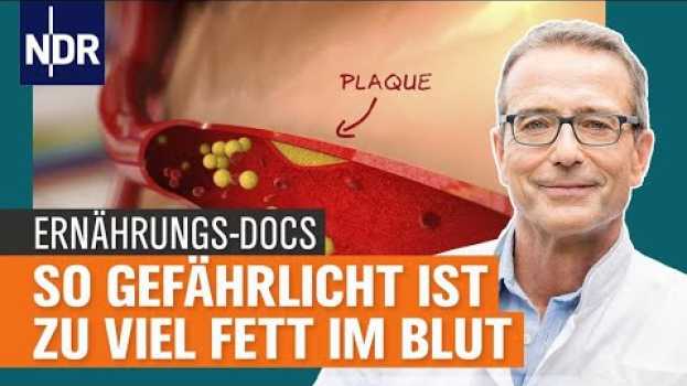 Video Cholesterin im Blut: Fettstoffwechselstörung ohne Medikamente behandeln | Die Ernährungs-Docs | NDR en français