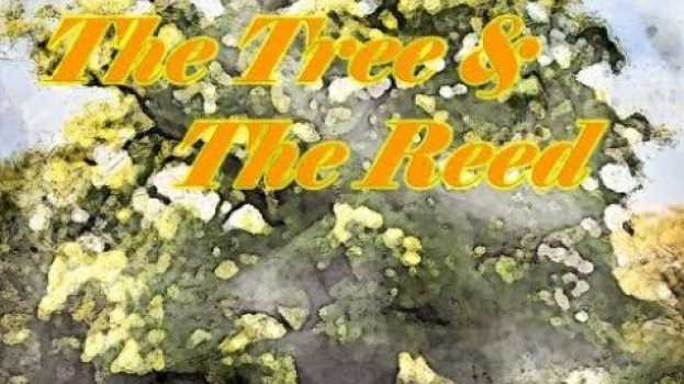 Video Amazing Aesops Fables - The Tree and The Reed - Short Story - Moral Story - em português