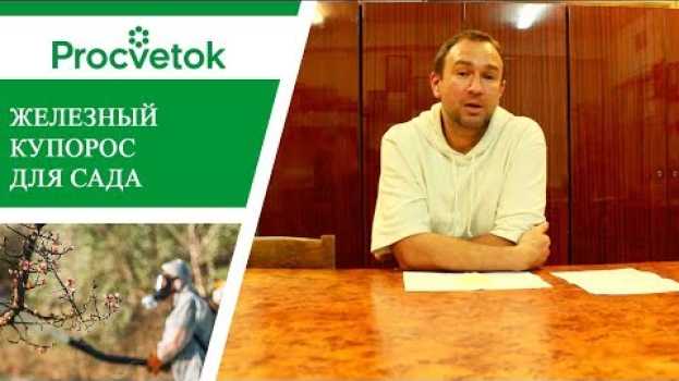 Video Железный купорос в садоводстве. Защита растений от грибковых заболеваний. su italiano