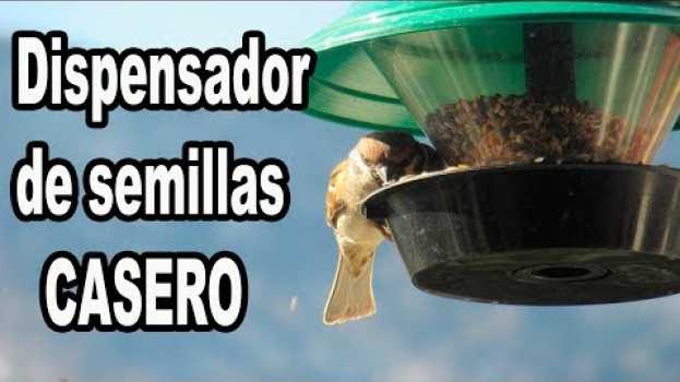 Video Como Hacer Un Dispensador De Alpiste Casero  y Muy Fácil in English