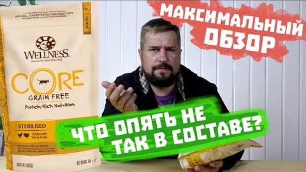 Video WELLNESS CORE сухой корм для стерилизованных кошек ОБЗОР КОРМА   türkçe