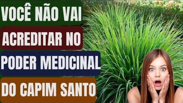 Video Impressionante! Eu Nunca Imaginei que o CAPIM SANTO Poderia Fazer TUDO Isso pela Nossa Saúde!! auf Deutsch