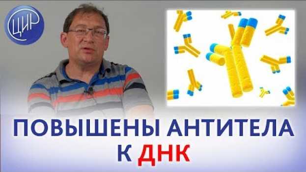 Video АНТИТЕЛА к ДНК и НЕВЫНАШИВАНИЕ беременности. Что делать? Отвечает доктор Гузов. em português