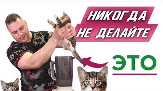 Video Что НЕЛЬЗЯ делать в БЛЕНДЕРЕ?? Сохрани жизнь своему устройству! Лайфхаки о блендерах (2019)   türkçe