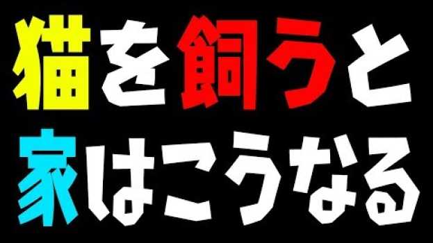 Video  in English