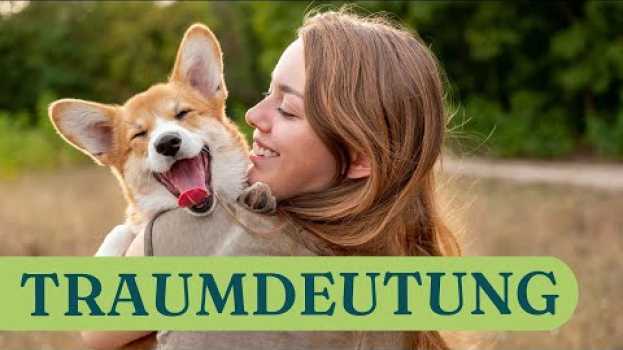 Video Traummotiv Hund: So deutet ihr euren Traum richtig en français