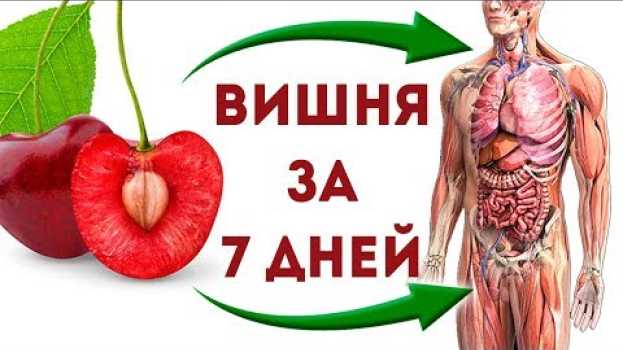 Video Что будет, если ЕСТЬ ВИШНЮ в течение 7 дней? О самом главном - о здоровье! en français