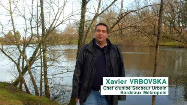 Video Le métier de chef d'unité territoriale des espaces verts in English