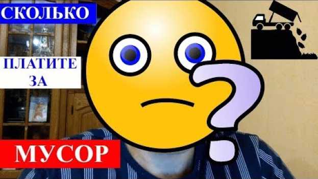 Video Мусор увезут дальше, но за это придется заплатить! Обсуждаем мусорную реформу, тарифы, капремонт in English