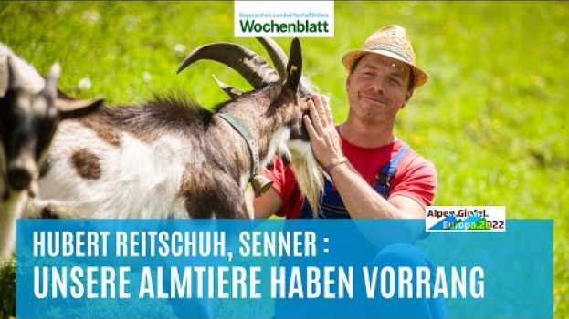 Video Unsere Almtiere haben Vorrang | Huber Reitschuh, Senner | Alpen.Gipfel.Europa.2022 auf Deutsch