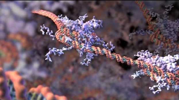 Video Cancer Is Not One Disease po polsku