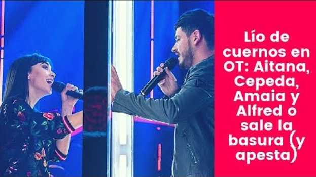 Видео Lío de cuernos en OT: Aitana, Cepeda, Amaia y Alfred o sale la basura (y apesta) на русском