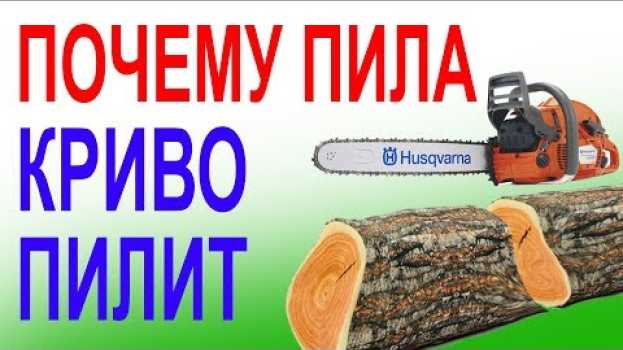Video Миллионы бензопил криво пилят от этого. ТОП неисправностей  шины и цепи en español