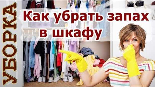 Video Как избавиться от запаха в шкафу 🍀 Советы чтобы в шкафу приятно пахло in English