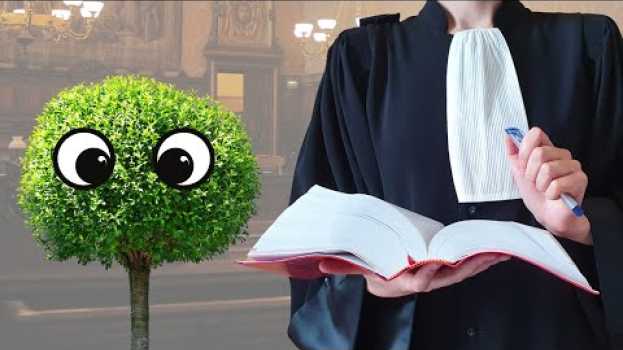 Video La nature a-t-elle des droits ? - 911 AVOCAT   türkçe