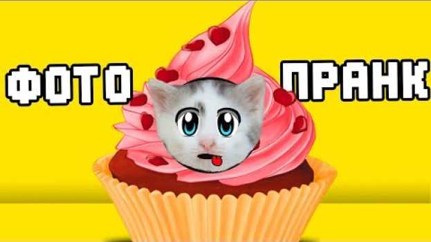 Video ФОТОКАБИНКА ДЛЯ КОТОВ! КОТ И КОШКА РАЗЫГРАНЫ ! ПРИКОЛЫ С КОТАМИ! НОВЫЙ РОЗЫГРЫШ КОТОВ И ПУПСИ po polsku