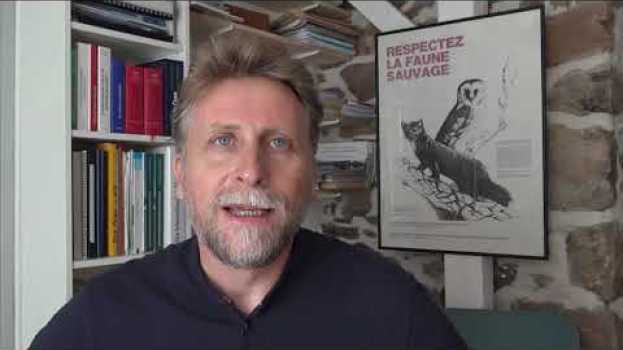 Video Juriste en droit de l'environnement su italiano
