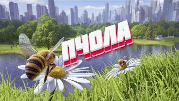 Video 🐝КАК БЫТЬ ПЧОЛОЙ  - Bee Simulator 🐝 po polsku