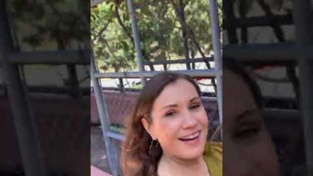 Video    türkçe
