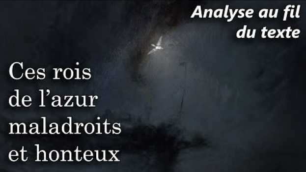 Video BAUDELAIRE 🔎 Les Fleurs du Mal - L'Albatros (Analyse au fil du texte du poème) su italiano