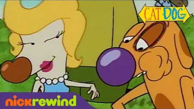 Video Top 5 CatDog Moments You May Have Missed! | NickRewind en français