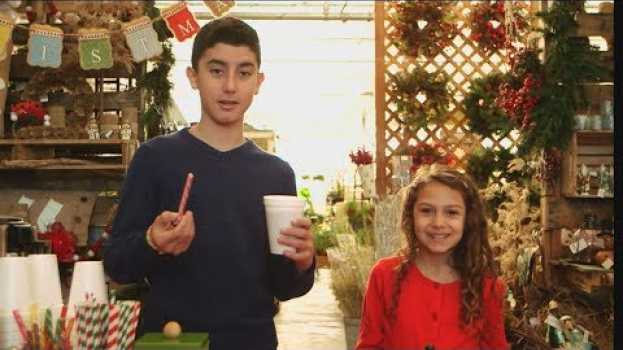 Video Holiday Hot Cocoa Stand Scam | What Would You Do? | WWYD po polsku