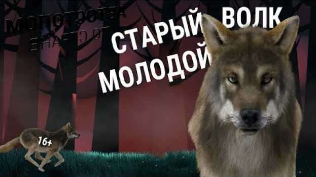 Video Почему у Александра Лукашенко не будет преемника? Часть 1 🌛 Автостопом по Стране. Вопрос 07 (16+) in English