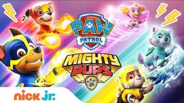 Video Meet the Mighty Pups Ft. Chase, Rubble, Skye & More!  🐾 PAW Patrol | PAW Patrol | Nick Jr. po polsku