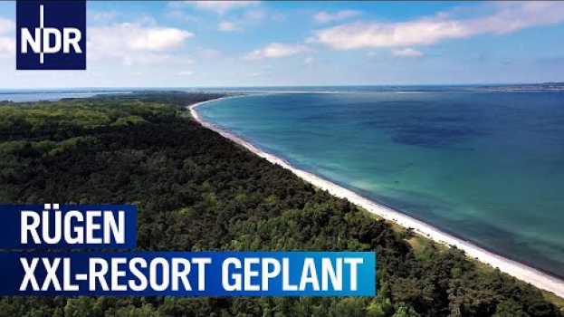 Video Bald zu viele Urlauber auf Rügen? | Markt | NDR en français
