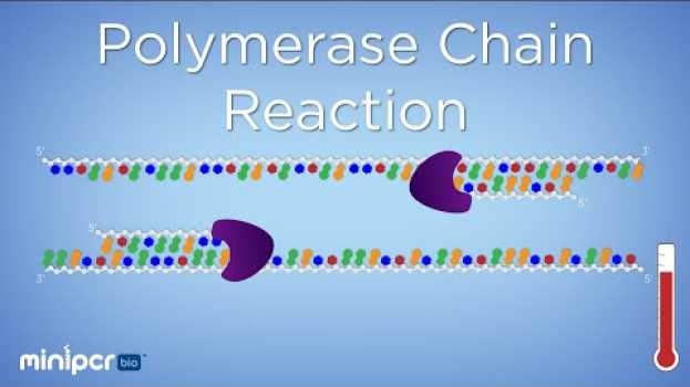 Video What is PCR? Polymerase Chain Reaction | miniPCR bio™   türkçe