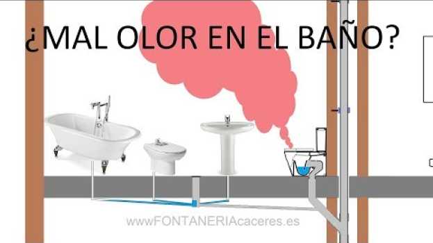 Видео Mal olor en el baño , De donde viene y como evitar el mal olor en casa на русском