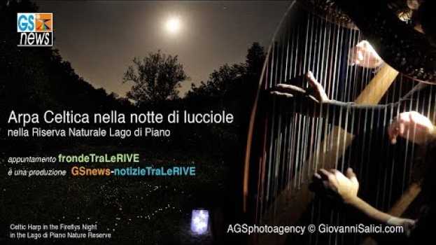 Video Arpa Celtica nella notte di lucciole nella Riserva Naturale Lago di Piano © GSnews frondeTraLeRIVE auf Deutsch
