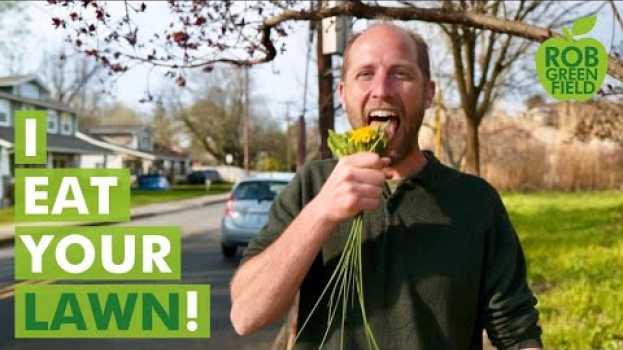 Video Wild Foods for Spring Foraging that are Free and Easy to Find!   türkçe