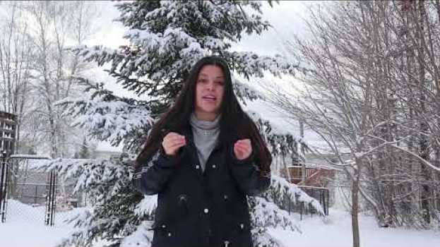 Video Viajando desde la Isla del Principe Eduardo hasta Fredericton -  Una Colombiana en Canada   türkçe