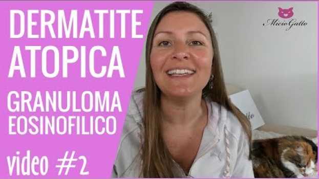 Видео Dermatite atopica del gatto e granuloma eosinofilico, cosa dice il veterinario? - 2 parte! на русском