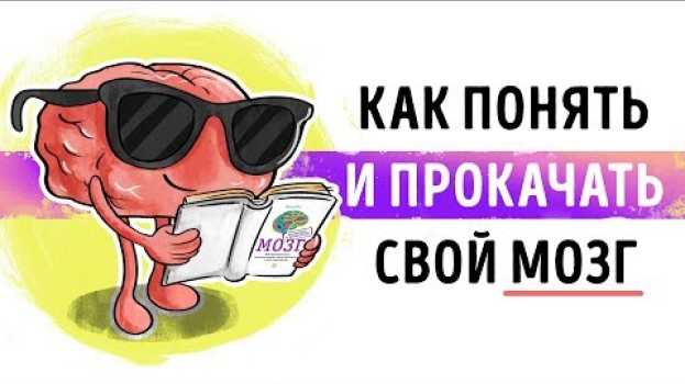Video «Мозг. Инструкция по применению». Дэвид Рок | Саммари ® auf Deutsch