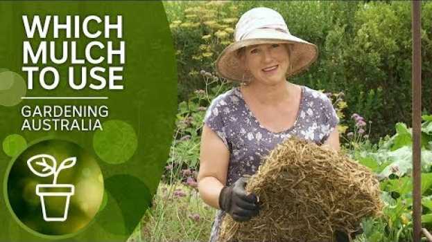 Video Mulch – which one and when to use it | DIY Garden Projects | Gardening Australia em português
