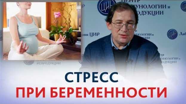 Video СТРЕСС при БЕРЕМЕННОСТИ. Чем ОПАСЕН хронический СТРЕСС для беременности и развития плода. po polsku