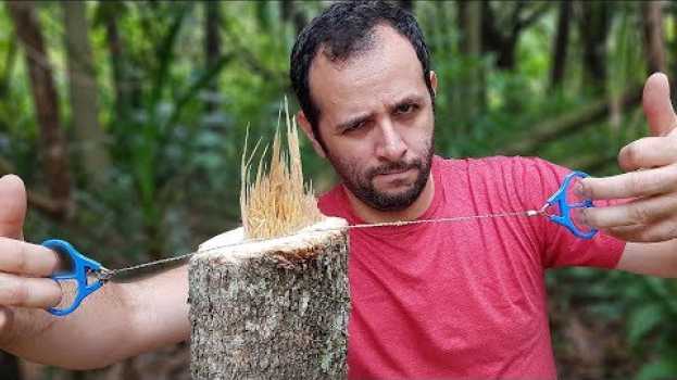 Video ARAME QUE CORTA ÁRVORES: nós testamos! en français