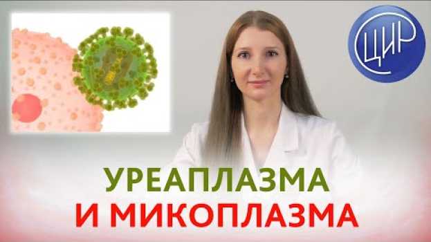Video УРЕАПЛАЗМА и МИКОПЛАЗМА. Лечить или нет? Условно-патогенные сероварианты уреаплазмы и микоплазмы.   türkçe