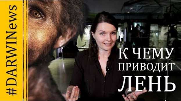 Video Еще одна причина исчезновения древних людей #Darwinews 8.5   türkçe