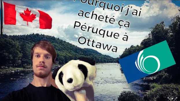 Video Pourquoi j’ai acheté cette Péruc de panda ? su italiano