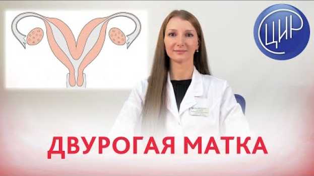Видео ДВУРОГАЯ МАТКА. Что такое двурогая матка, как она возникает и какие бывают виды двурогой матки. на русском