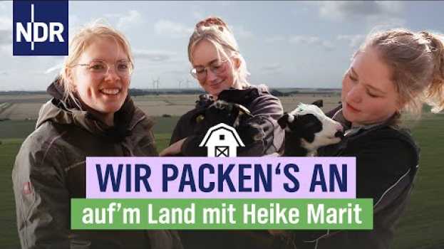 Video Frauenpower hoch 3: "Wir stellen uns den Herausforderungen und Aufgaben!" | Folge 7 | NDR auf‘m Land em português