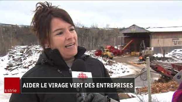 Video Des entreprises de l'Estrie «marchent» aussi pour le climat guidées par l'organisme ADDERE su italiano