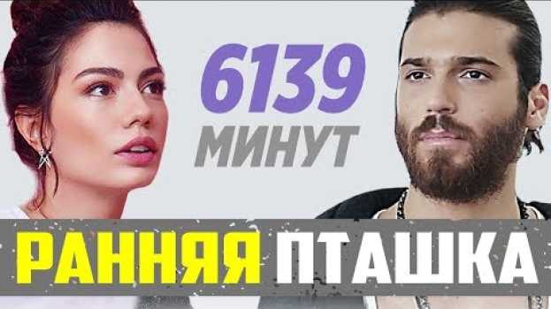 Video Ранняя Пташка. Мы этого не знали... em português